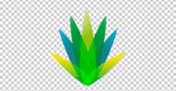 سرزمین پاک ویرا